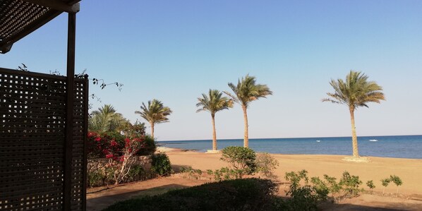 On the beach, beach umbrellas