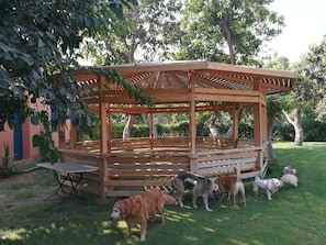 Gazebo