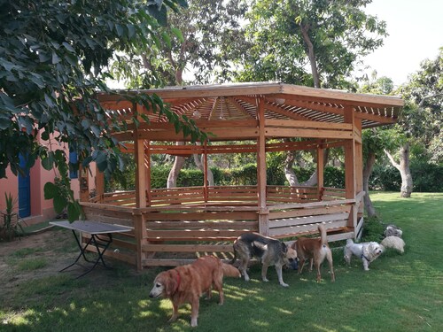 Equestrian lodge - Pyramids Egypt