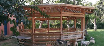 Equestrian lodge - Pyramids Egypt