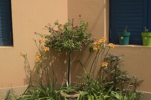 Property entrance - Equestrian lodge - Pyramids Egypt (Giza)