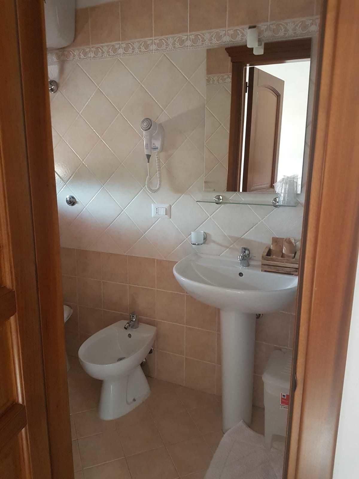 A bathroom with a pedestal sink, a bidet, a hairdryer, and a mirror.