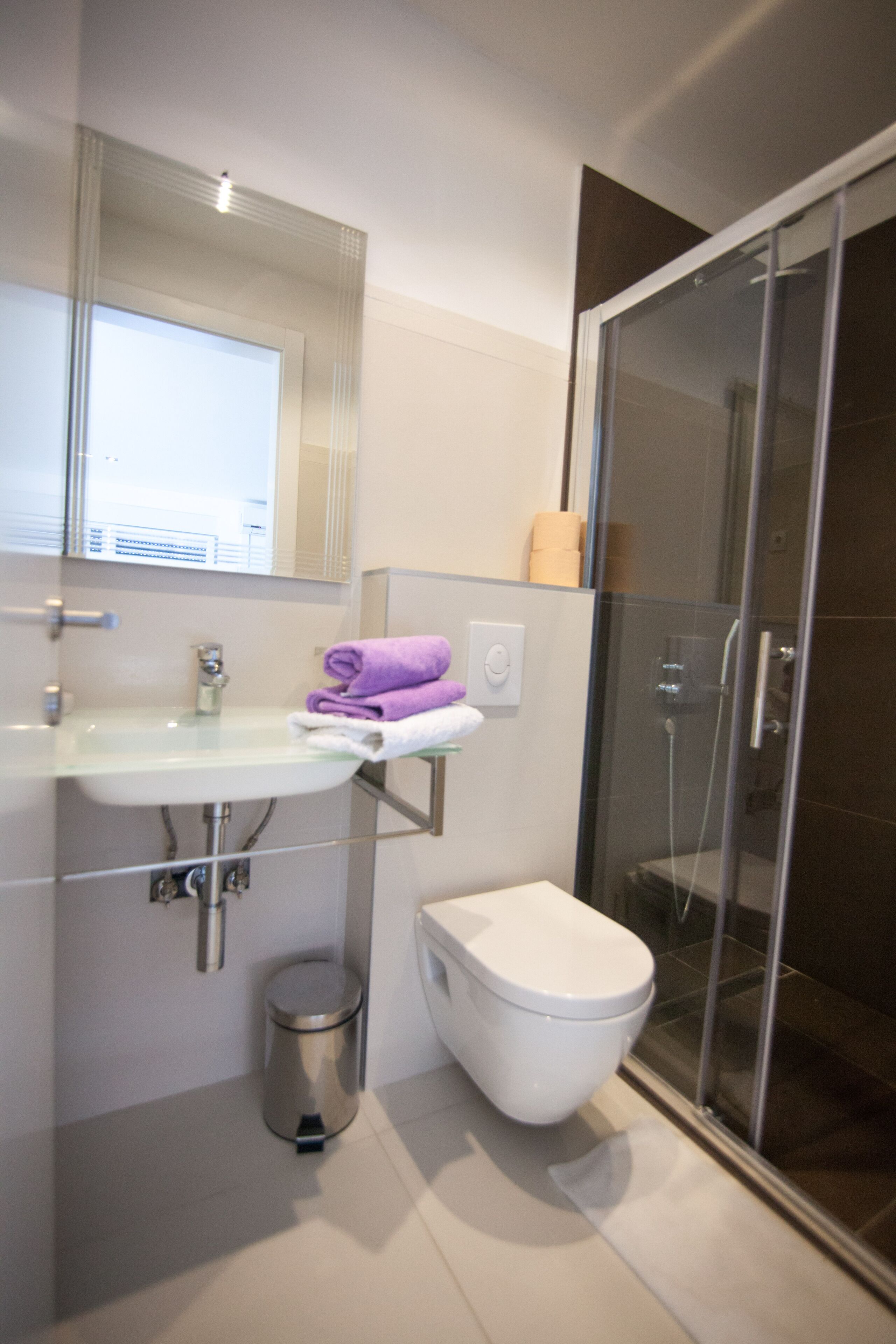 A modern bathroom with a glass shower enclosure, a white sink, and a toilet.