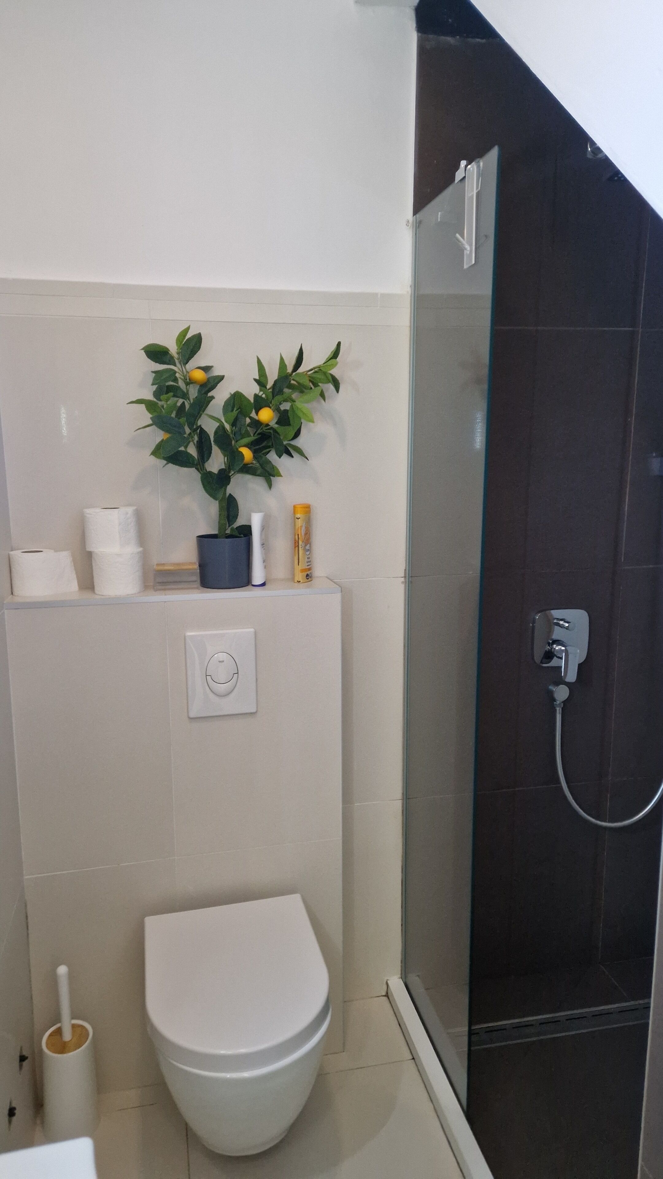 Un baño con inodoro, cabina de ducha de vidrio y repisas con artículos de aseo.