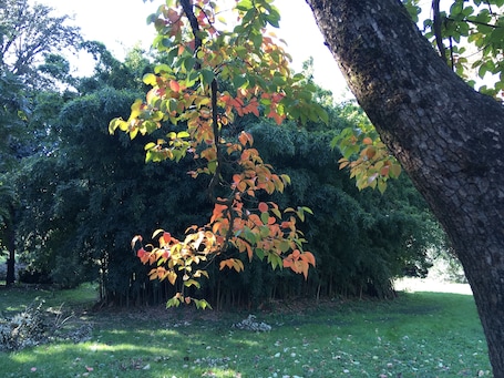Jardín