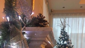 A decorated Christmas tree with lights and ornaments, a fireplace with a gold-colored mantel, and a patterned rug on the floor. - Hotel Al Sole - Preganziol (Preganziol)