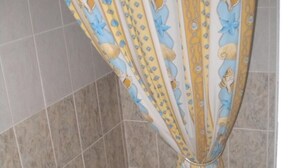 Shower, free toiletries, towels