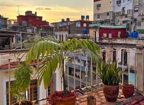 Un balcón con plantas en macetas y vistas a una zona urbana densamente poblada con varios edificios.
