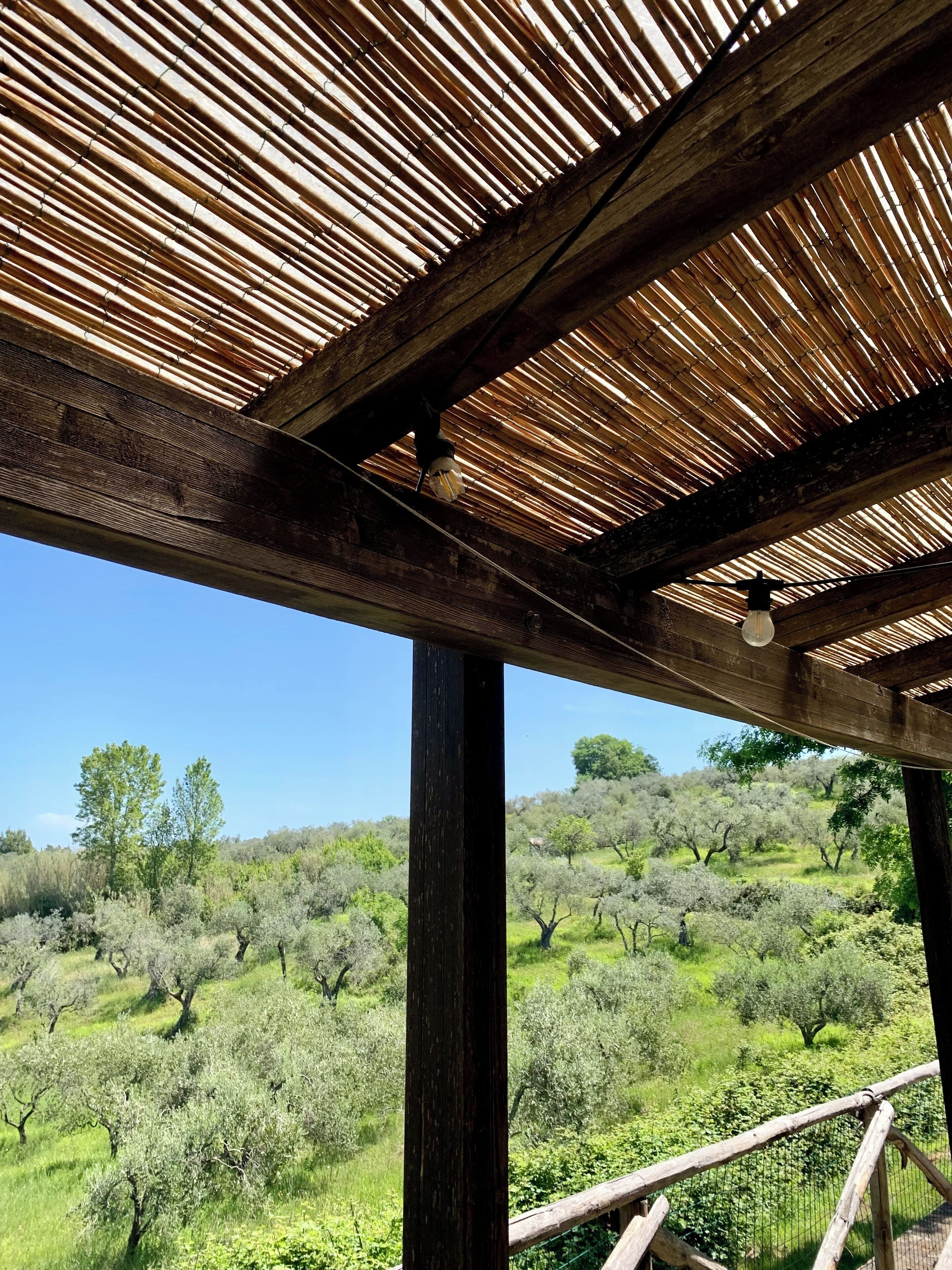 Blick von der Unterkunft