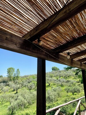 Vue depuis l’hébergement