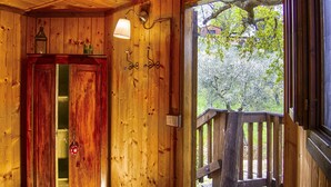 A wooden cabin interior with a wooden door, a window with a view of trees, and a wooden railing outside. - Agriturismo Fattoria La Prugnola (Montescudaio)