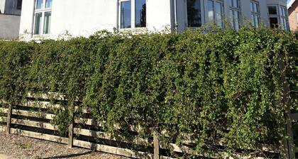 Cozy flat near CPH and public transport