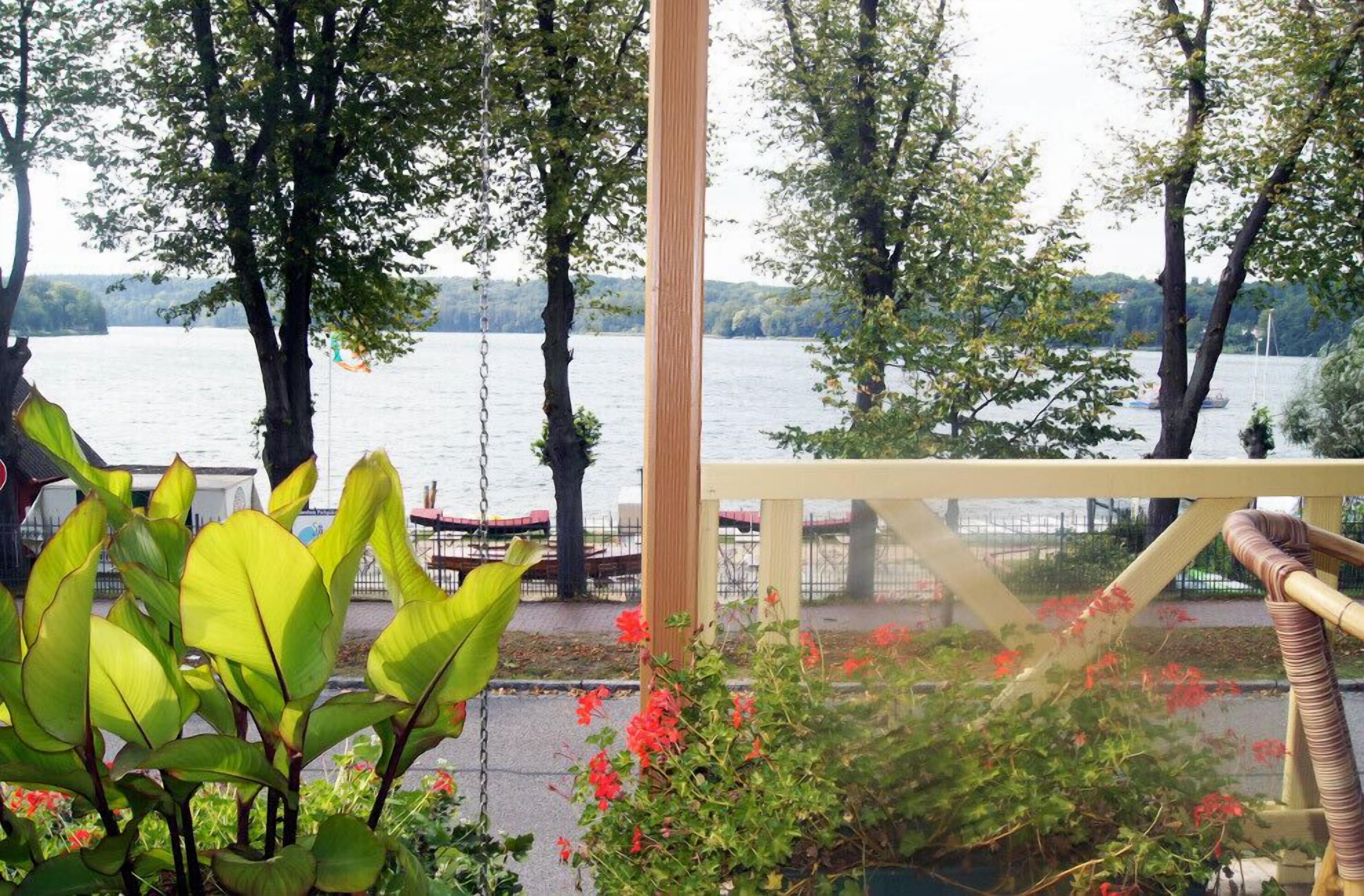 A lakeside view with a wooden swing, benches, and a railing overlooking the water.