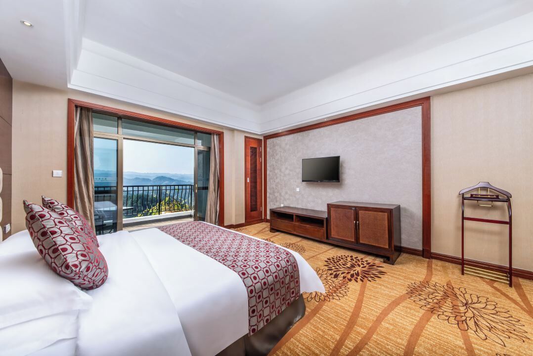 A hotel room with a large bed, a TV, a balcony with a view, and a carpet with a floral pattern.