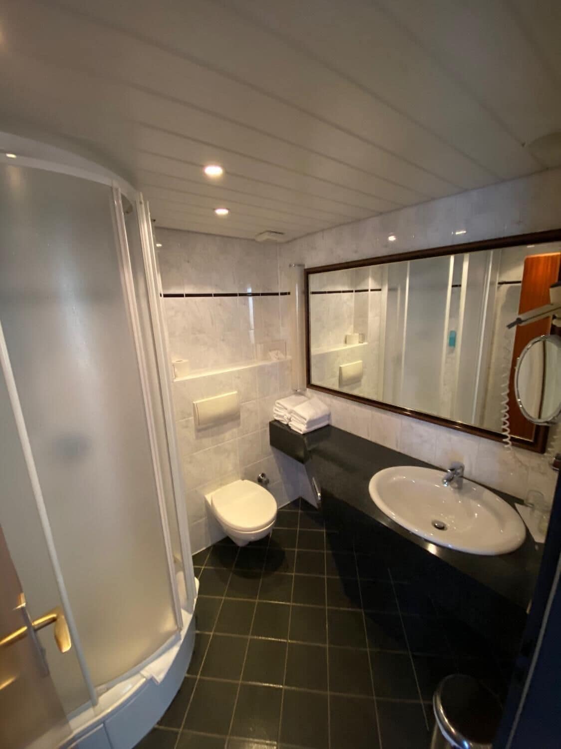 Une salle de bain moderne équipée d’une douche, de toilettes et d’un lavabo.