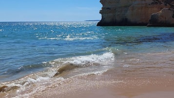 Plage, sable blanc, pêche sur place