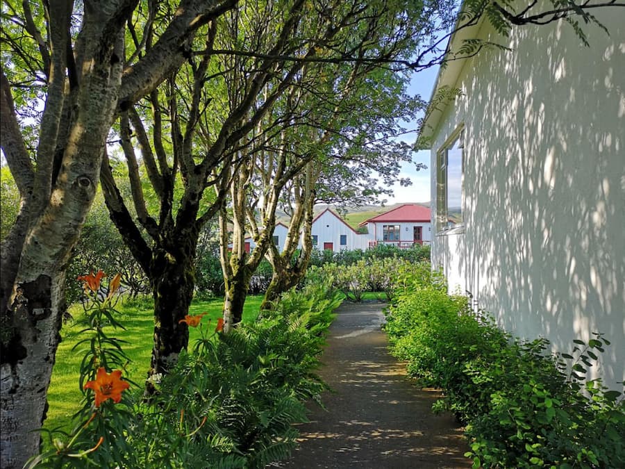 A pathway leading to a white building with a red roof, surrounded by lush greenery and trees.