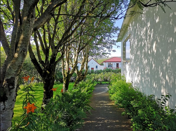 Un sendero conduce a un edificio blanco con techo rojo, rodeado de abundante vegetación y árboles.