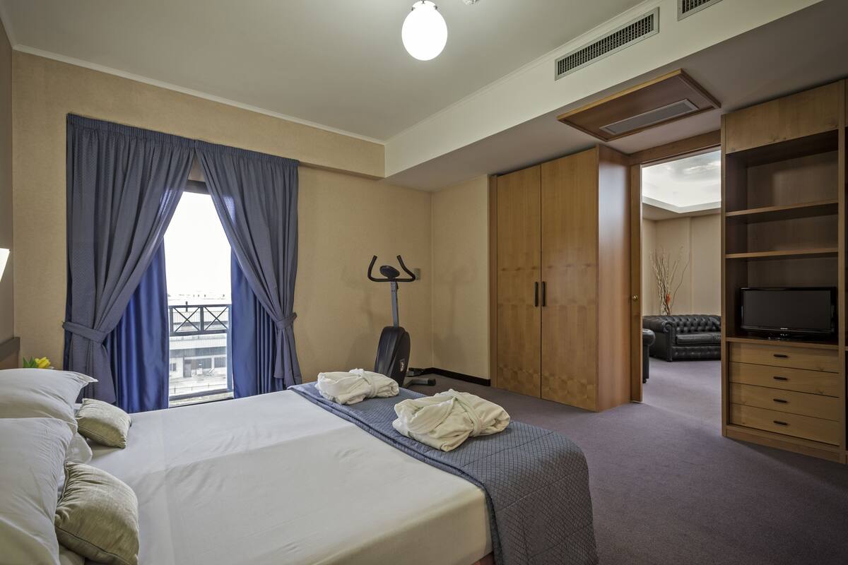 A hotel room with a large bed, a wardrobe, a television, and a view through the window.