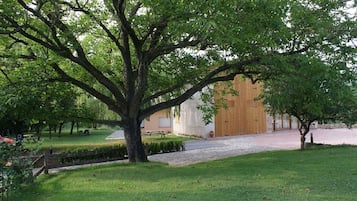 Guests can relax under the shade of a mature tree in a serene outdoor setting.