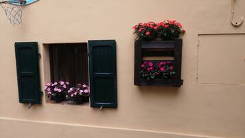 Un edificio con dos ventanas, una con persianas abiertas y una maceta con flores, y otra con persianas cerradas y una maceta con flores.