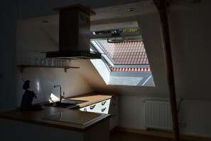 Fridge, oven, stovetop, dishwasher - Completely renovated apartment with a great terrace in the middle of nature (Lobberich)