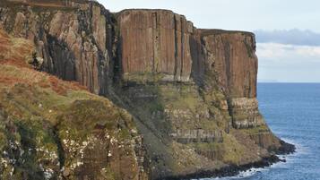 A coastal cliff with layered rock formations and a grassy foreground.