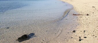 The Tables Guest House