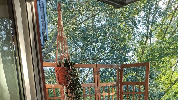 Una terraza de madera con una planta en maceta, un macramé colgante y una valla de madera.