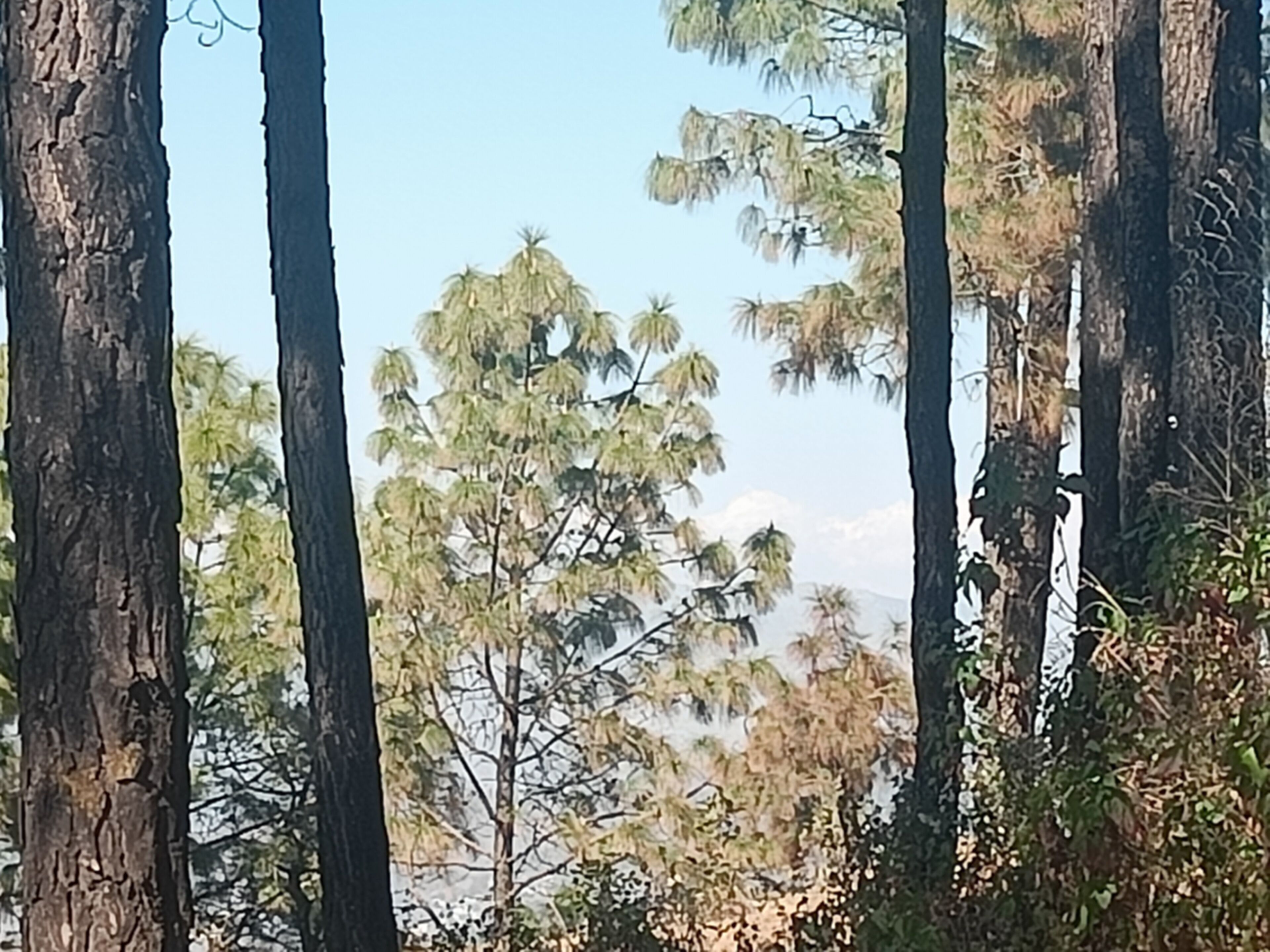 Vista dalla struttura
