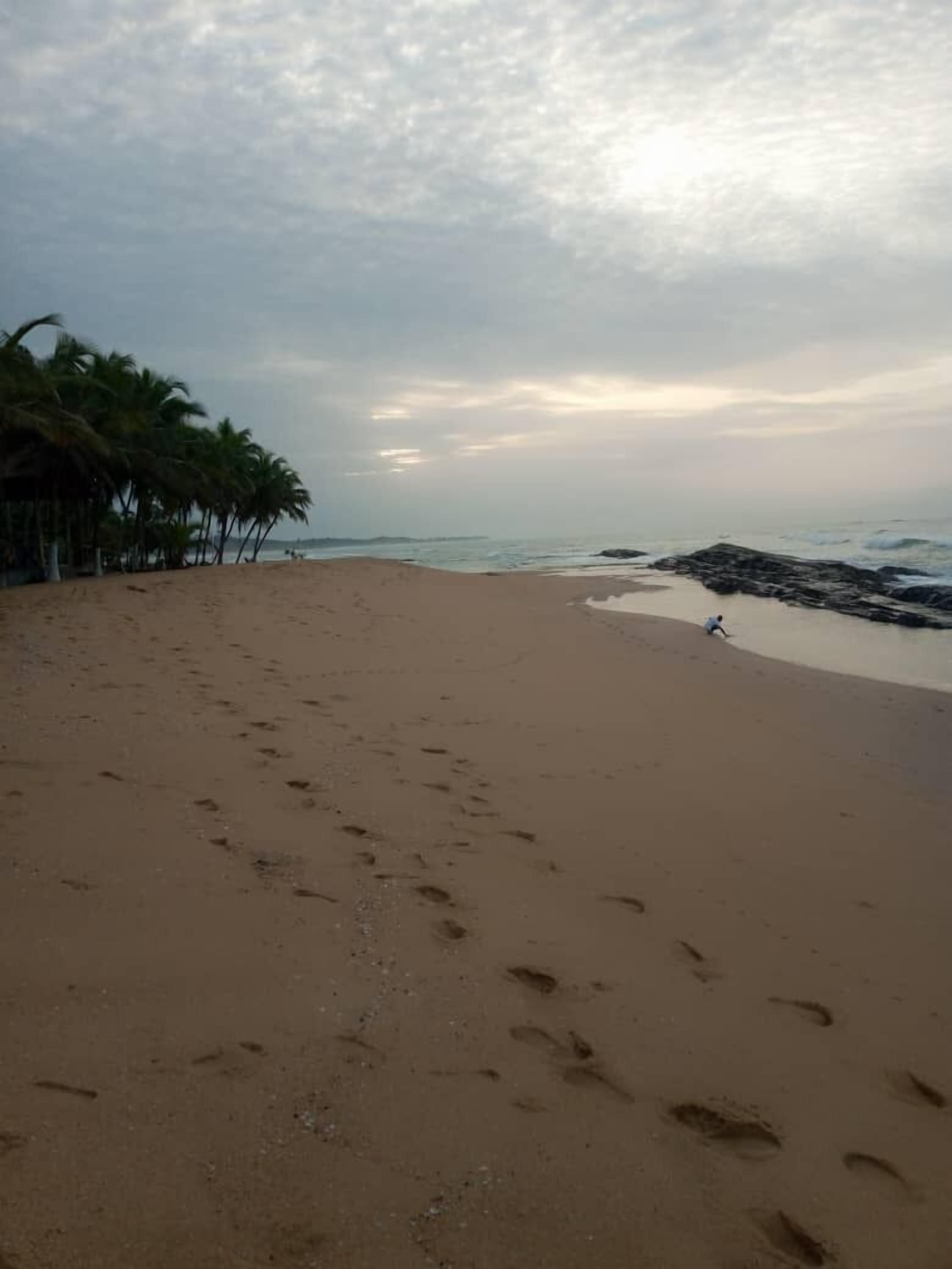Una playa con huellas, palmeras y una zona rocosa.