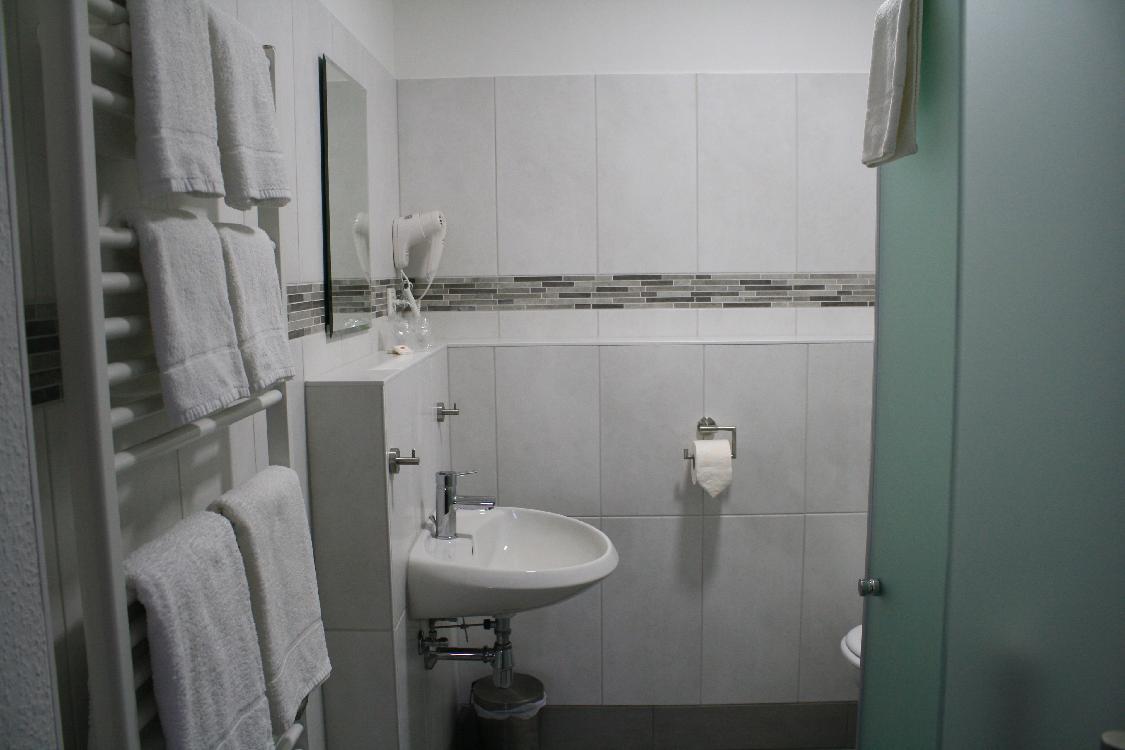 traditional double room | bathroom | shower, hair dryer, soap, shampoo
