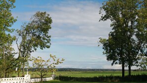 A grassy field with trees and a white fence. - Pension Treenehof (Koldenbüttel)