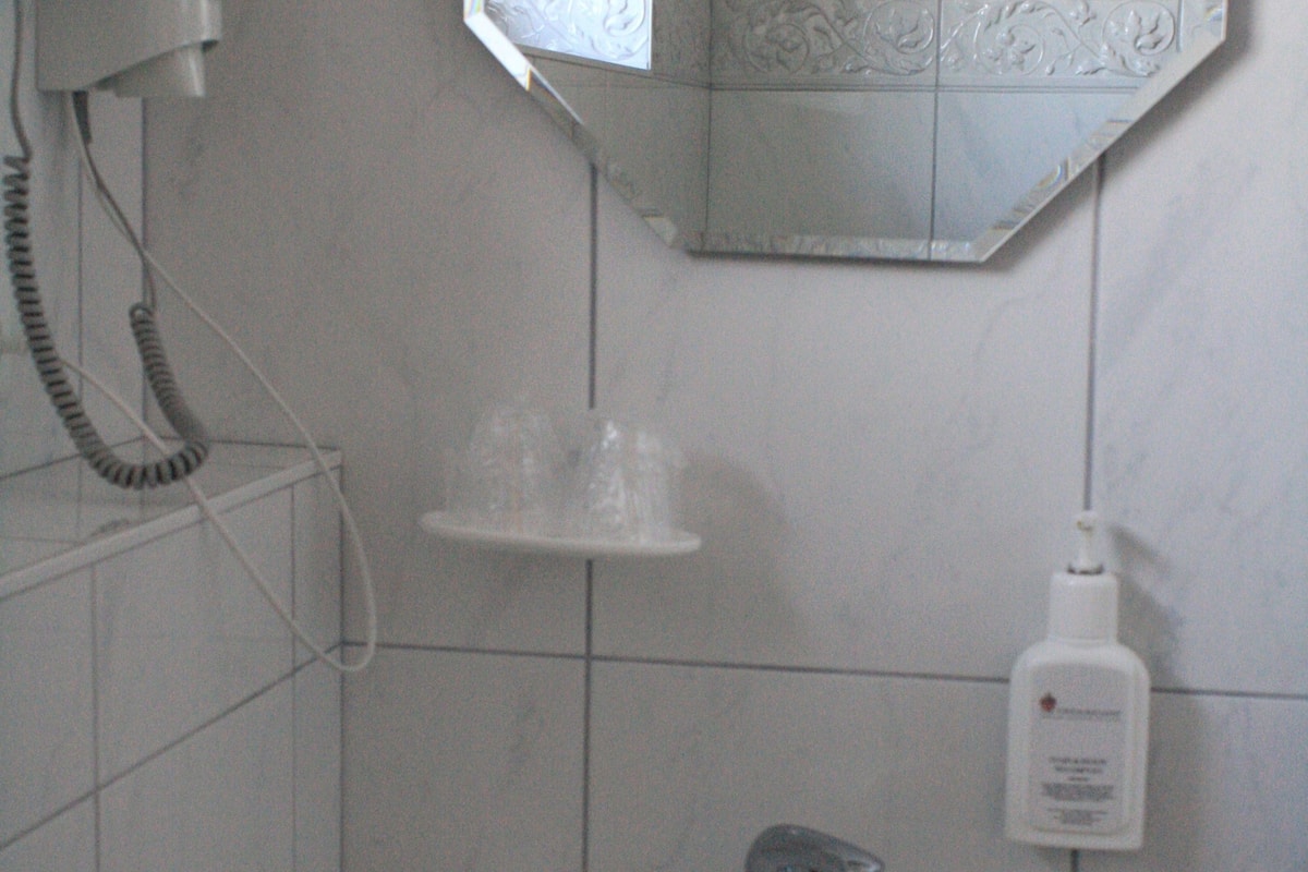 shower, hair dryer, soap, shampoo