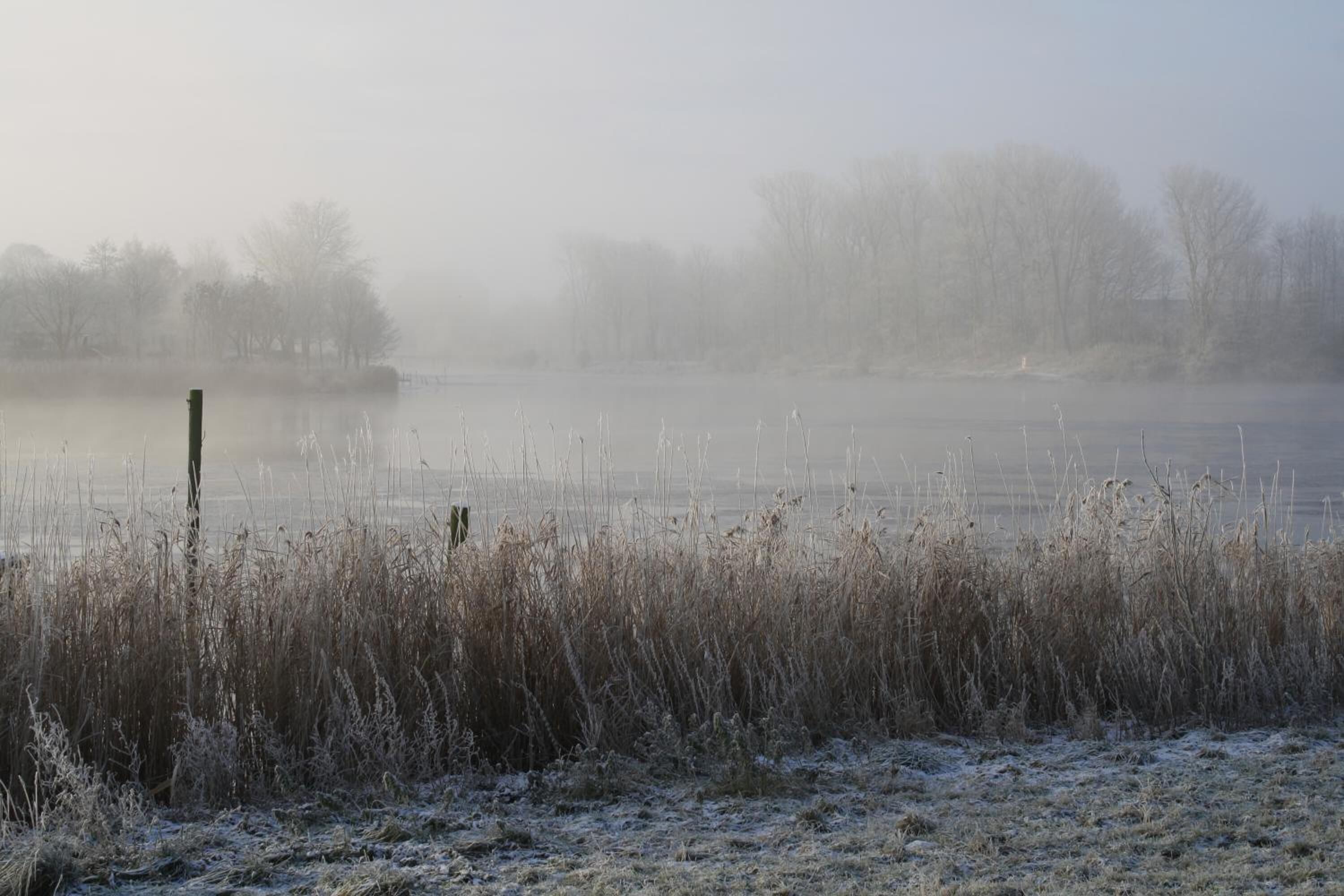 A foggy landscape with a frozen body of water, sparse vegetation, and leafless trees in the background.