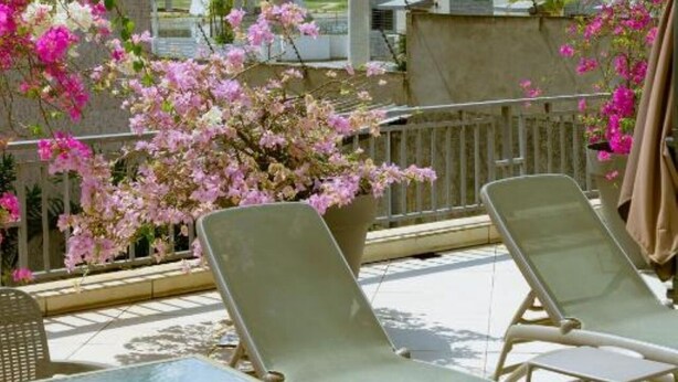 Un balcon avec des fauteuils de jardin, un palmier et un pont en arrière-plan.