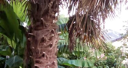 Charmant petit appartement trĂšs confortable