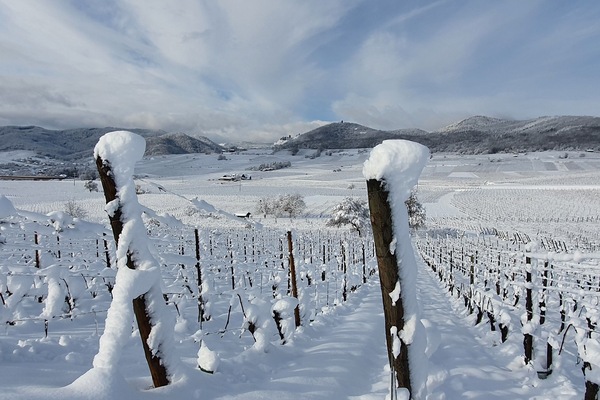 Esportes de neve e esqui