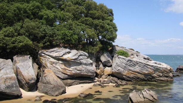 A rocky shoreline with clear water, a sandy beach, and dense green foliage.
