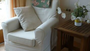 TV, fireplace, DVD player, table tennis