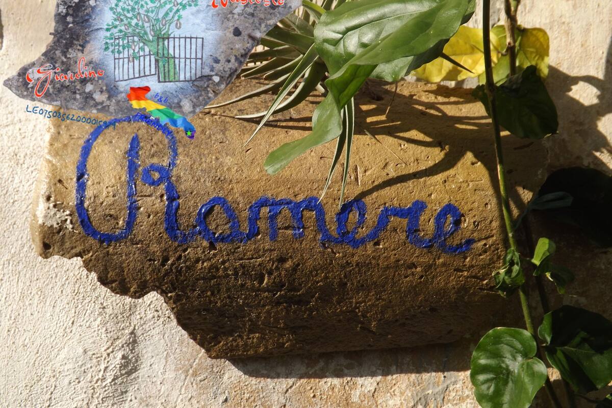 Una roca con los nombres 'Giardino' y 'Nascosto' pintados, rodeada de plantas verdes.