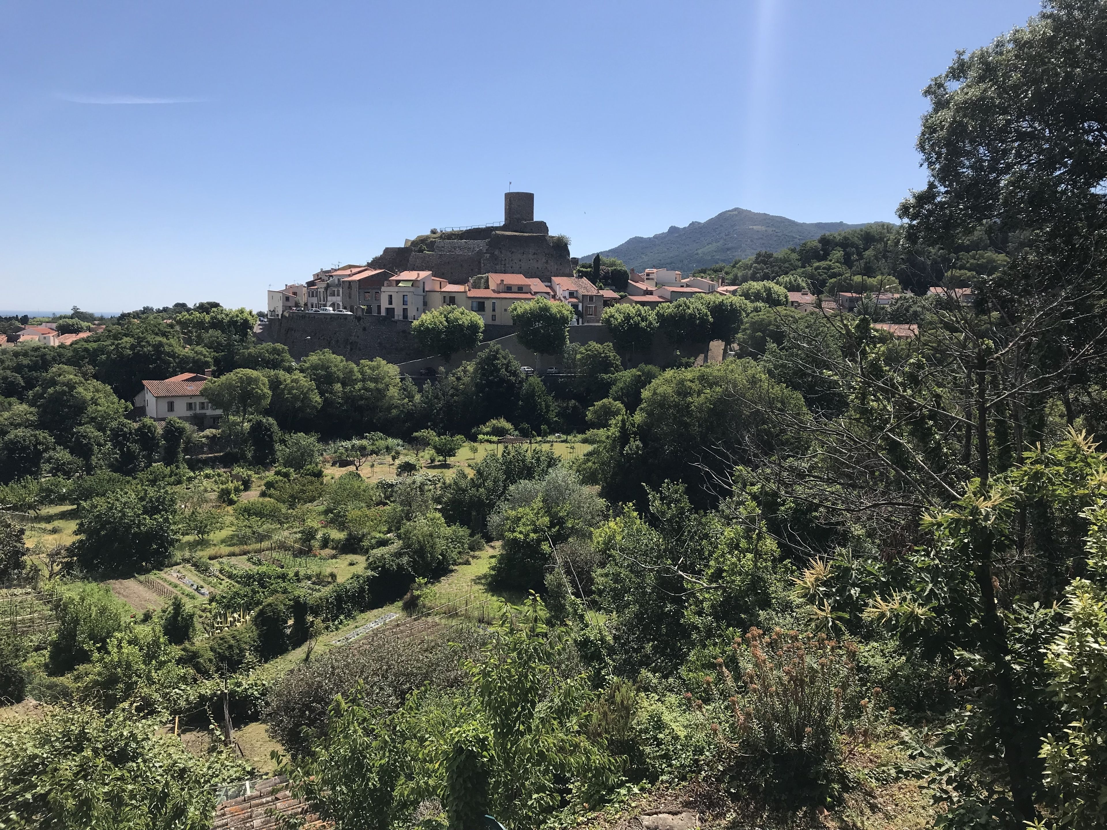 Un bâtiment historique doté d’une tour imposante, entouré d’une végétation luxuriante et situé dans un paysage vallonné.