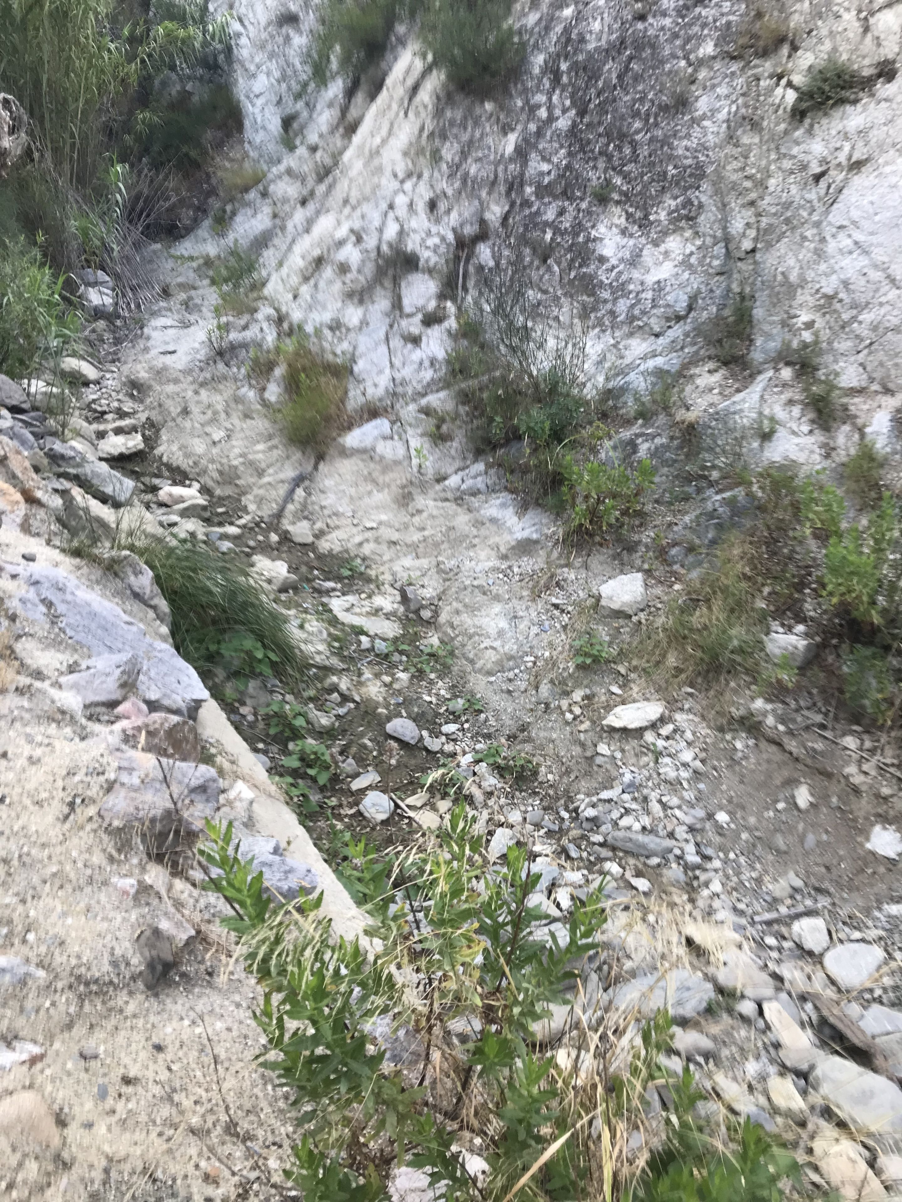 A rocky trail with sparse vegetation and a steep cliff.