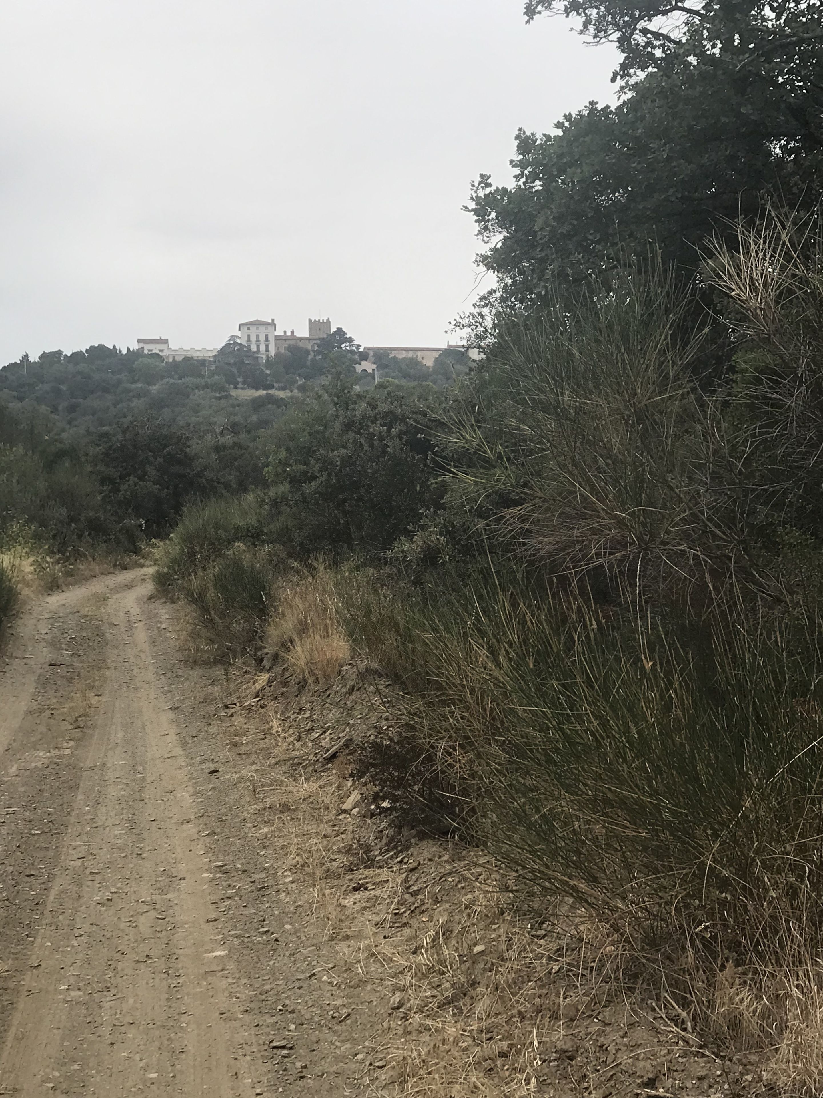 A dirt road flanked by dense shrubbery and trees, leading to a building with a tower in the distance.