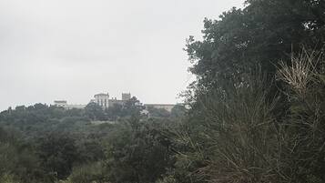 Un chemin de terre bordé d’une végétation dense et d’arbres, qui mène à un bâtiment surmonté d’une tour, visible au loin.