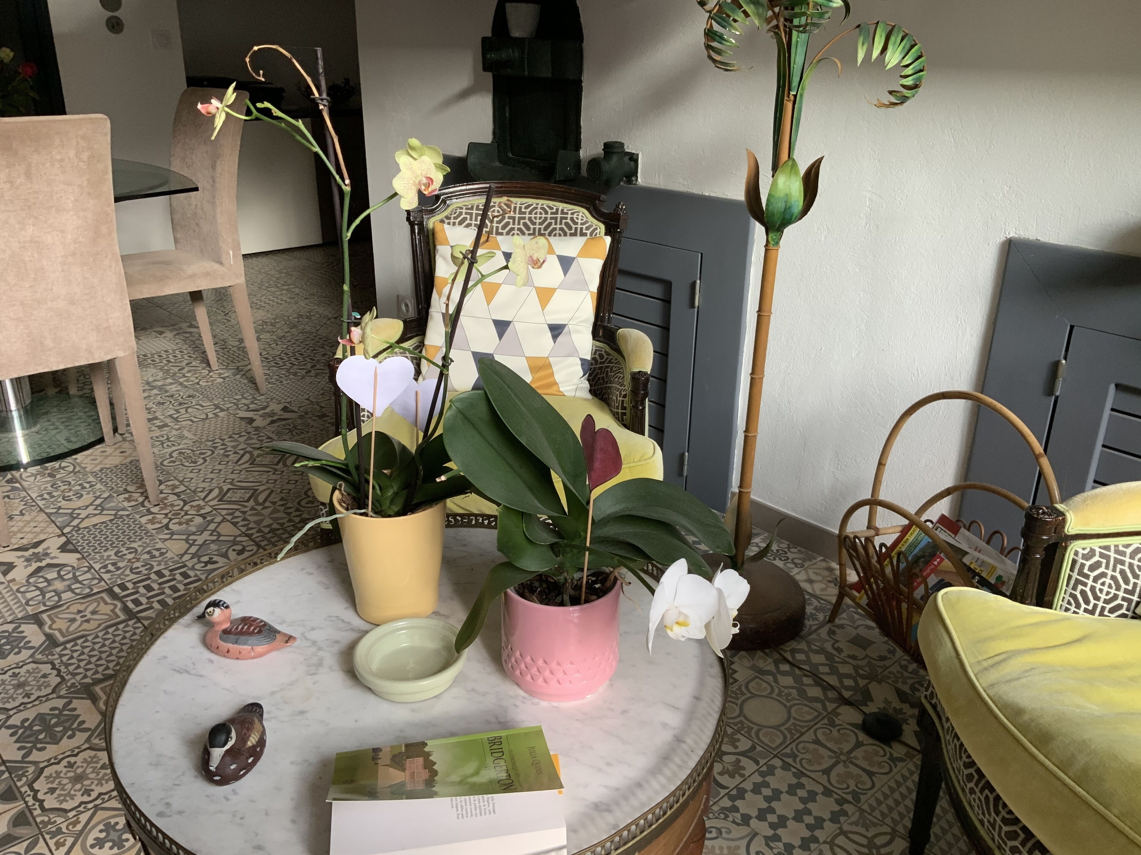 Een kamer met een ronde tafel, stoelen, een bank en decoratieve planten.