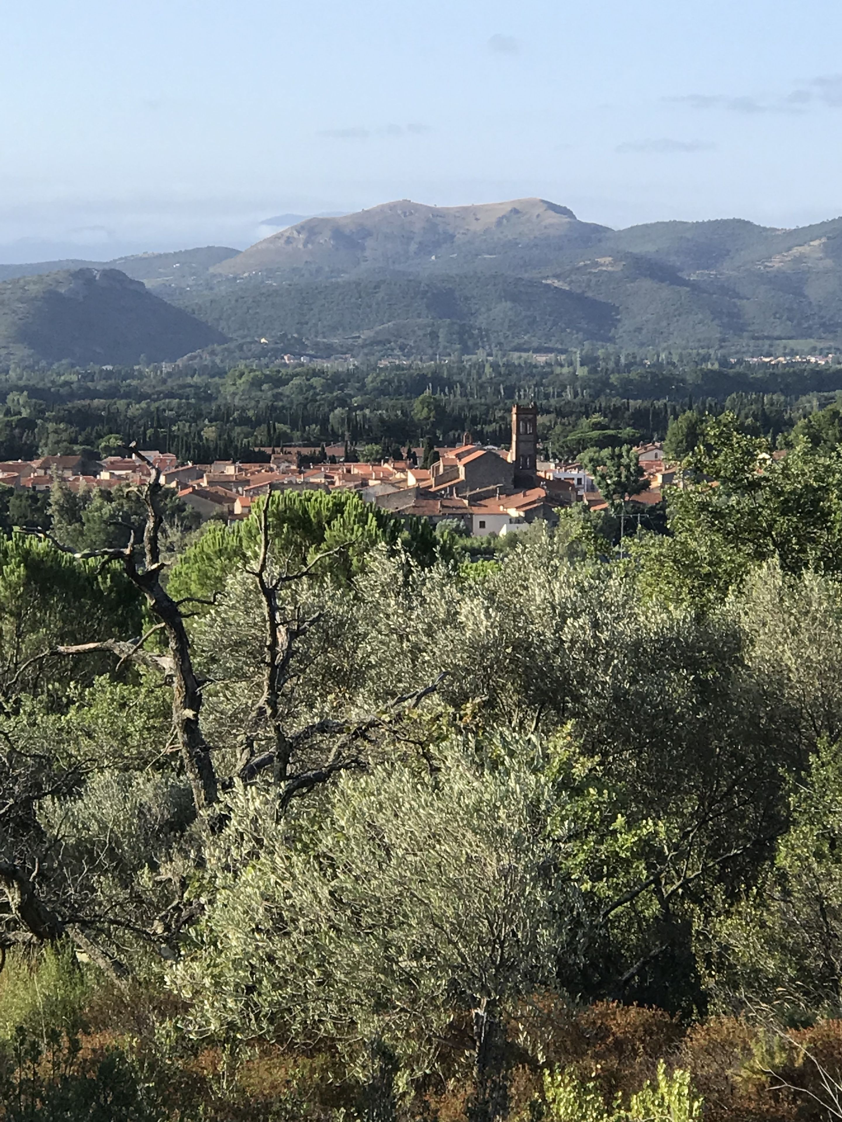 A town with red-roofed buildings and a prominent church tower, surrounded by hills and dense greenery.