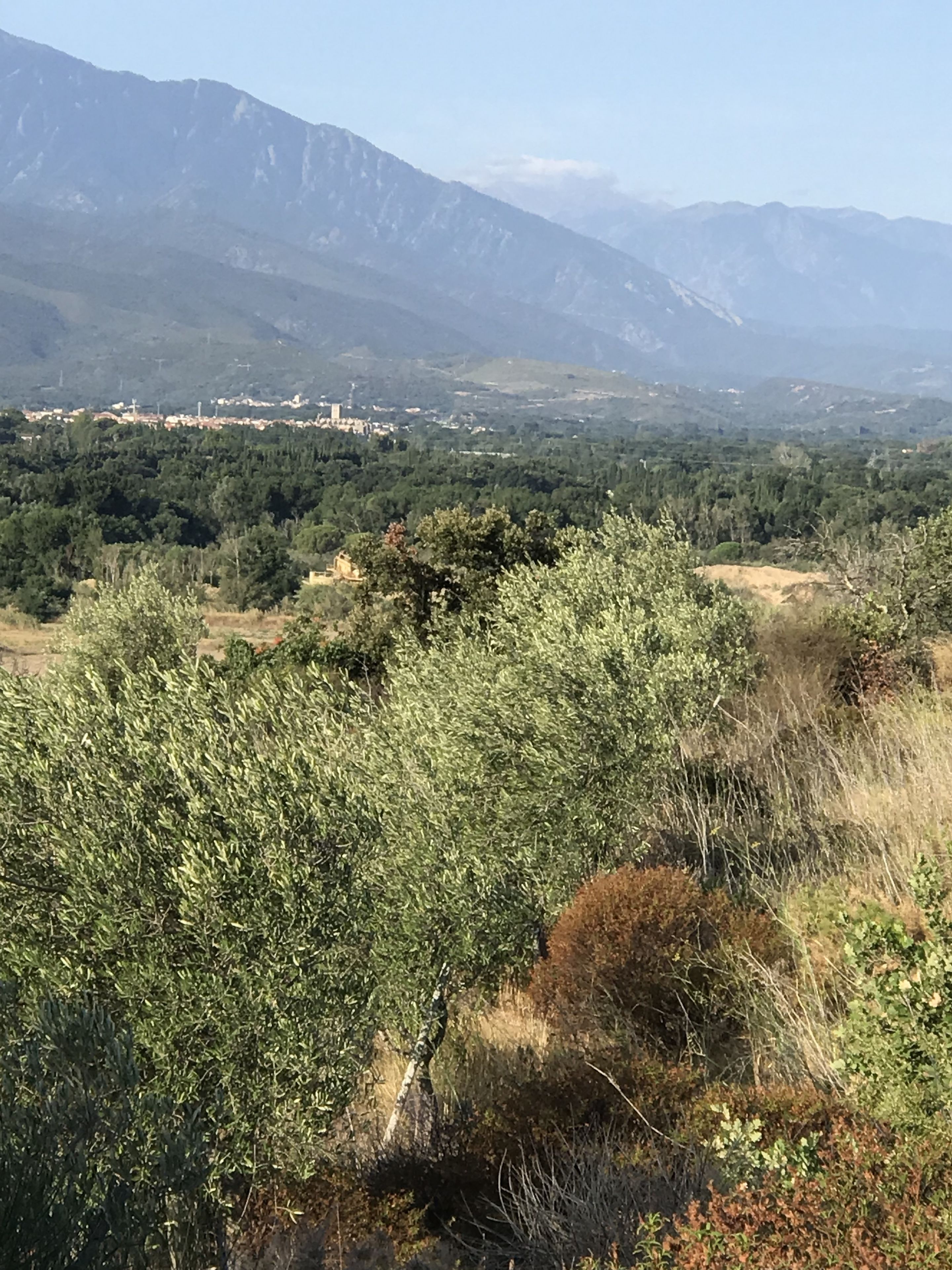 Paisagem montanhosa com vegetação densa ao primeiro plano e uma cidade distante.