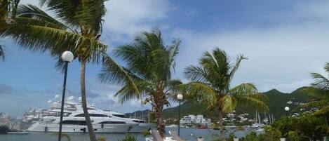 Ćreas de la propiedad