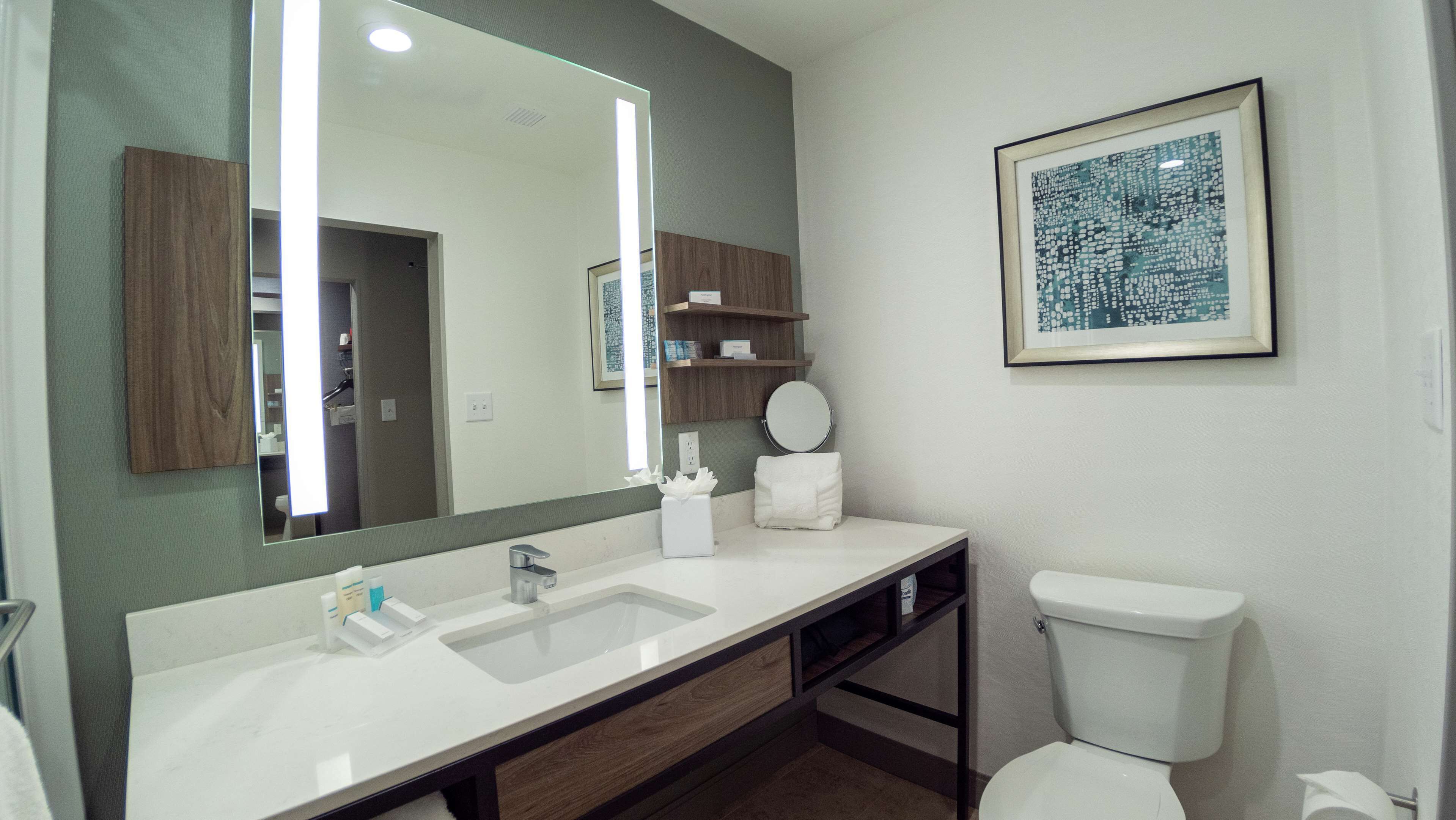 room, 1 king bed, accessible (hearing) | bathroom | combined shower/bathtub, deep-soaking bathtub, hydromassage showerhead